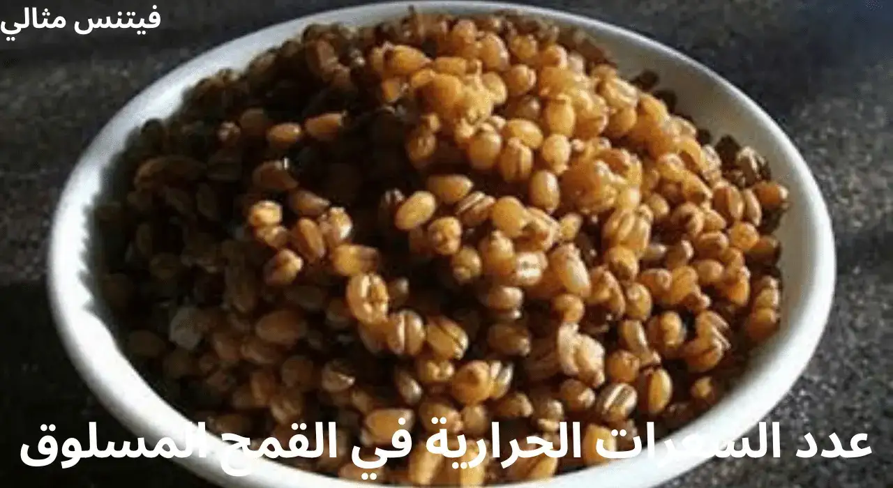 عدد السعرات الحرارية في القمح المسلوق 1 عدد السعرات الحرارية في القمح المسلوق