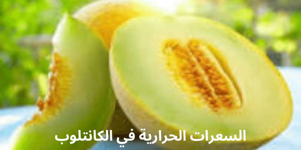 الحرارية في الكانتلوب 1 السعرات الحرارية في الكانتلوب