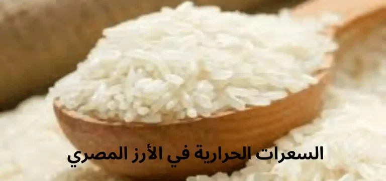 السعرات الحرارية في الأرز المصري بالشعيرية