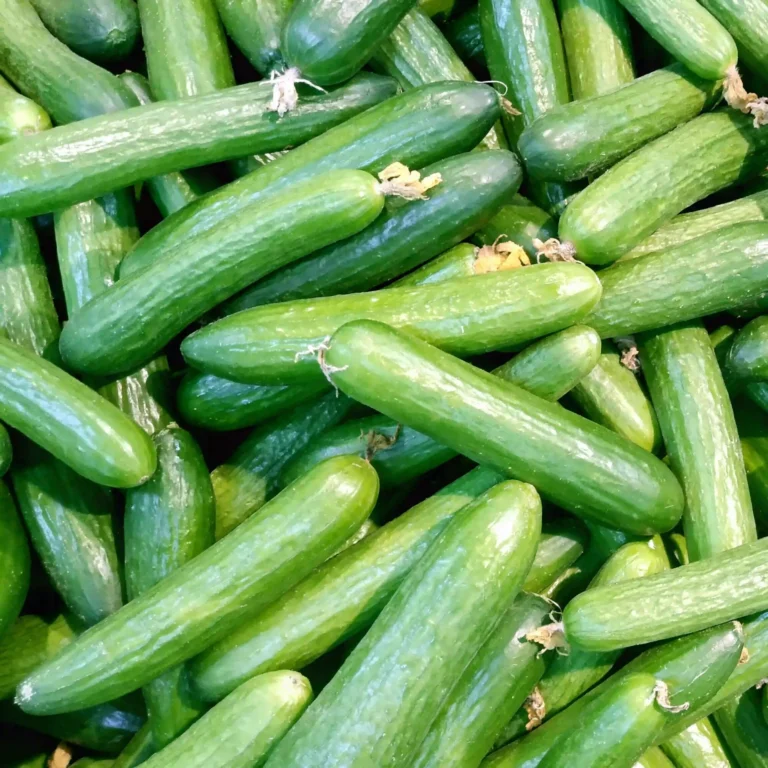 السعرات الحرارية في الخيار