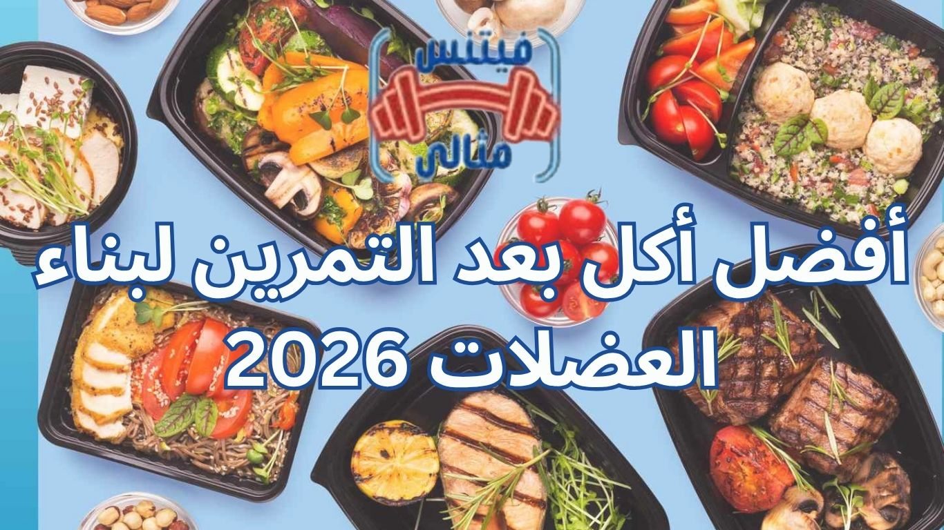 أفضل 5 مكملات غذائية لزيادة الوزن بسعر مناسب 2026 2 1 أفضل أكل بعد التمرين لبناء العضلات 2026
