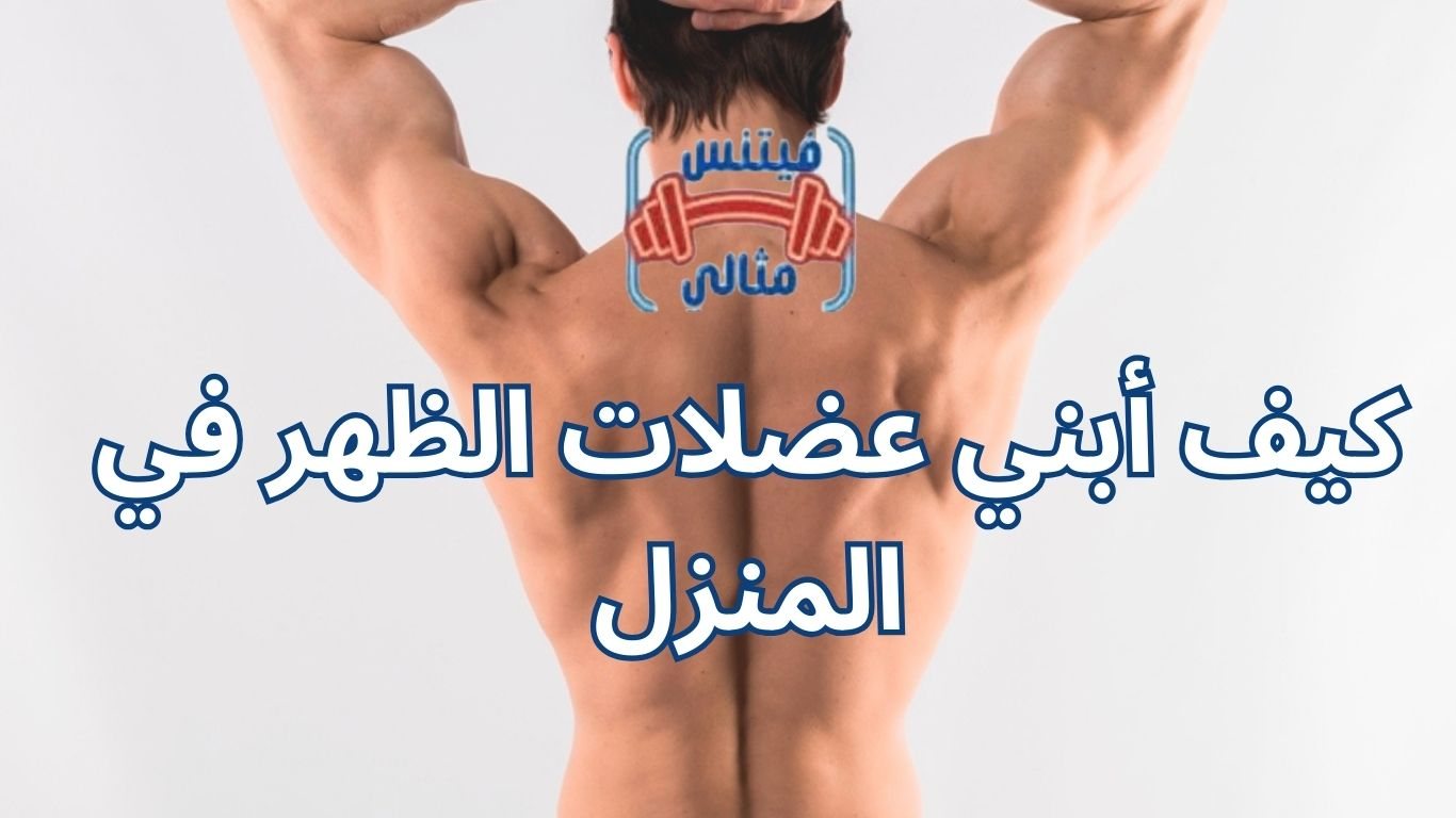 كيف أبني عضلات الظهر في المنزل