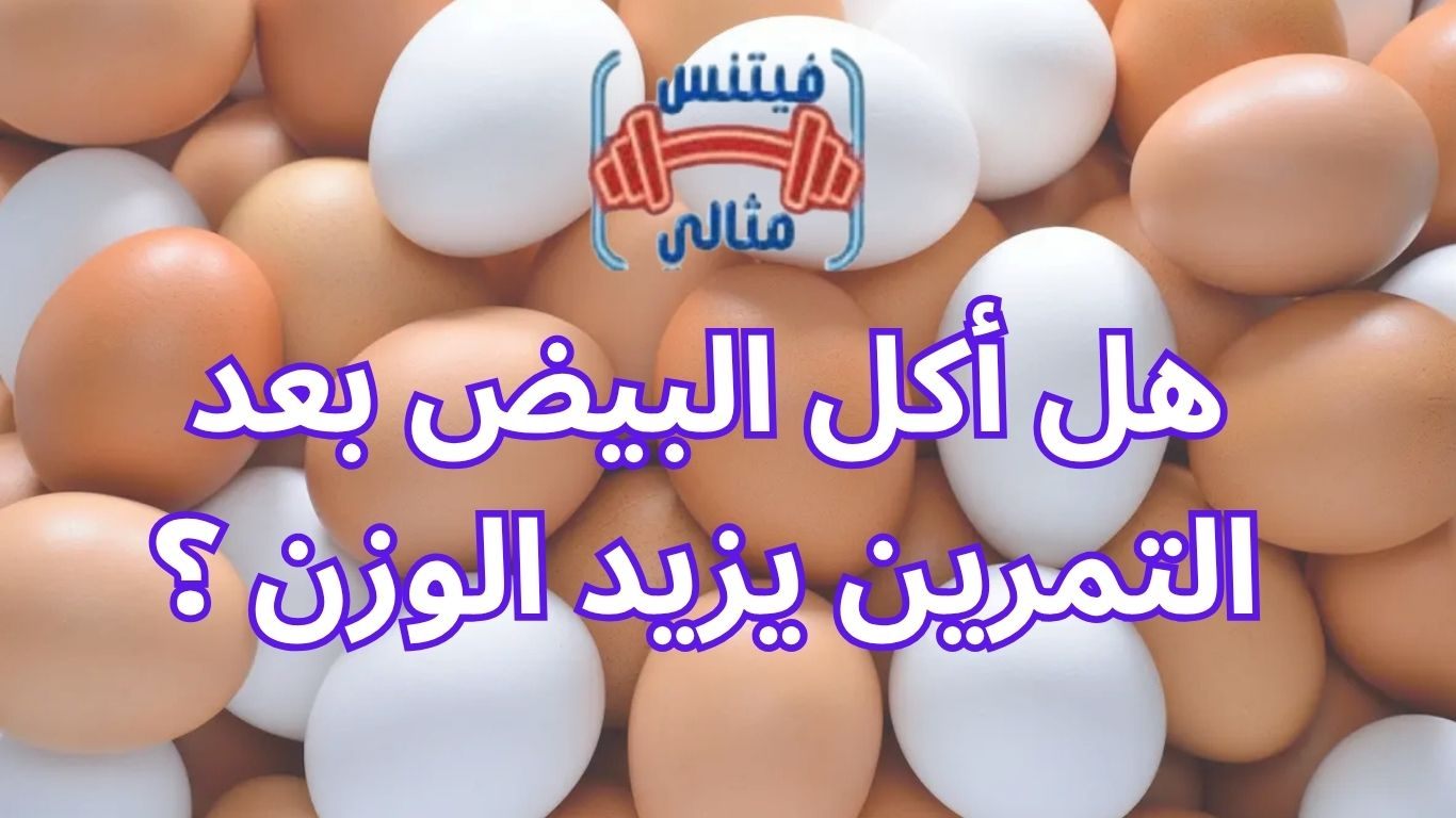 أفضل 5 مكملات غذائية لزيادة الوزن بسعر مناسب 2026 6 1 هل أكل البيض بعد التمرين يزيد الوزن ؟