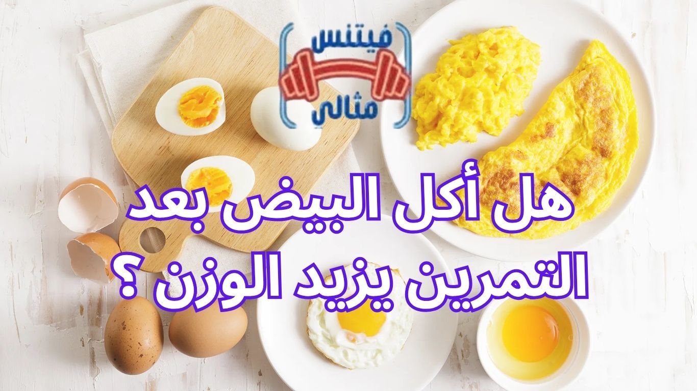 هل أكل البيض بعد التمرين يزيد الوزن ؟