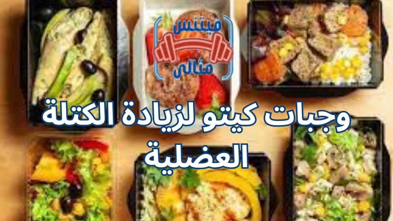 أفضل 5 مكملات غذائية لزيادة الوزن بسعر مناسب 2026 2025 09 13T032453.814 1