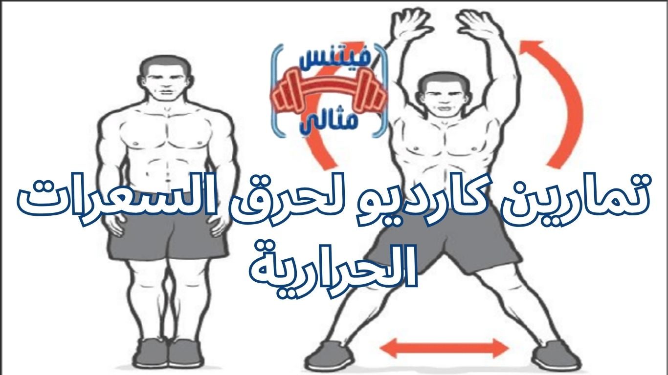 أفضل 5 مكملات غذائية لزيادة الوزن بسعر مناسب 2026 2025 09 14T224217.204 1 تمارين كارديو لحرق السعرات الحرارية