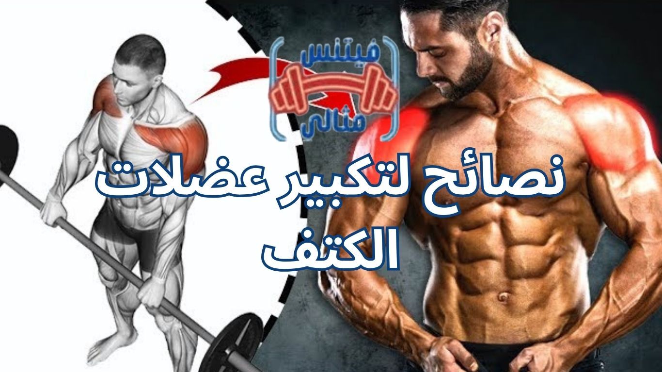 نصائح لتكبير عضلات الكتف