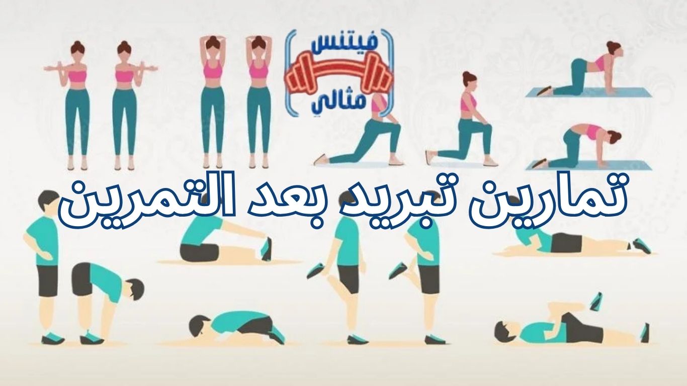 تمارين تبريد بعد التمرين