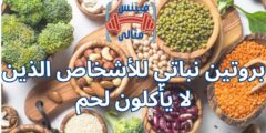 بروتين نباتي للأشخاص الذين لا يأكلون لحم