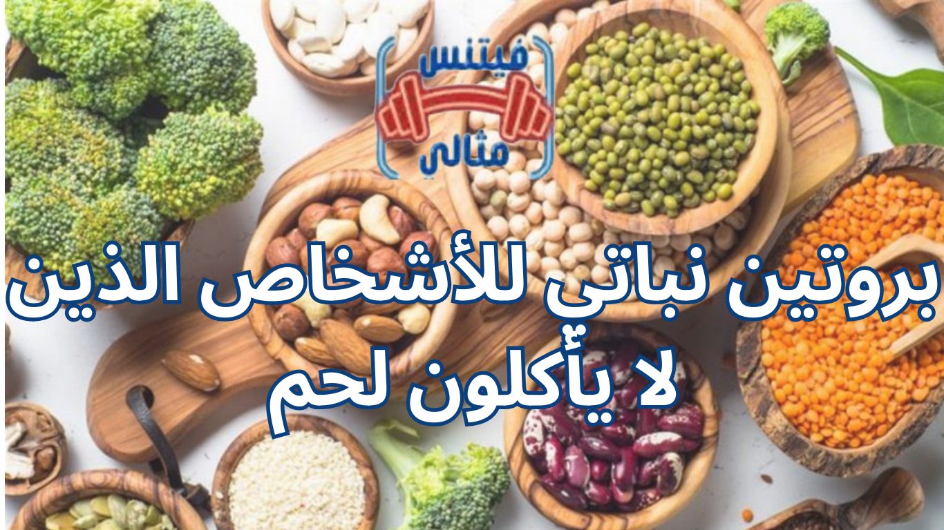 بروتين نباتي للأشخاص الذين لا يأكلون لحم