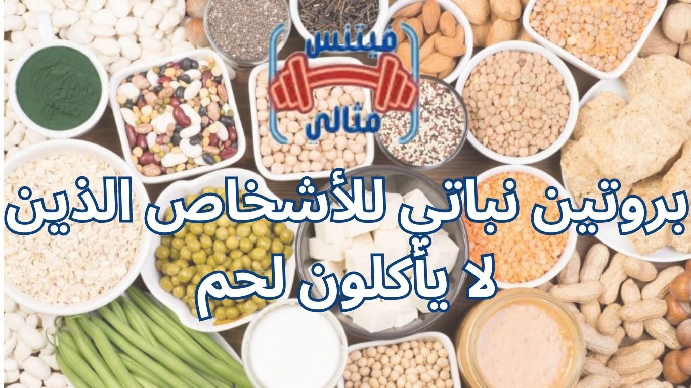 بروتين نباتي للأشخاص الذين لا يأكلون لحم