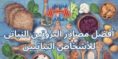 أفضل مصادر البروتين النباتي للأشخاص النباتيين