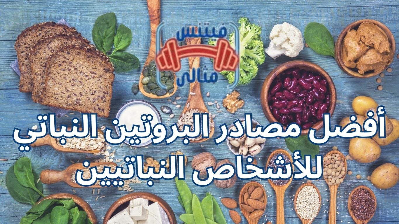 أفضل مصادر البروتين النباتي للأشخاص النباتيين