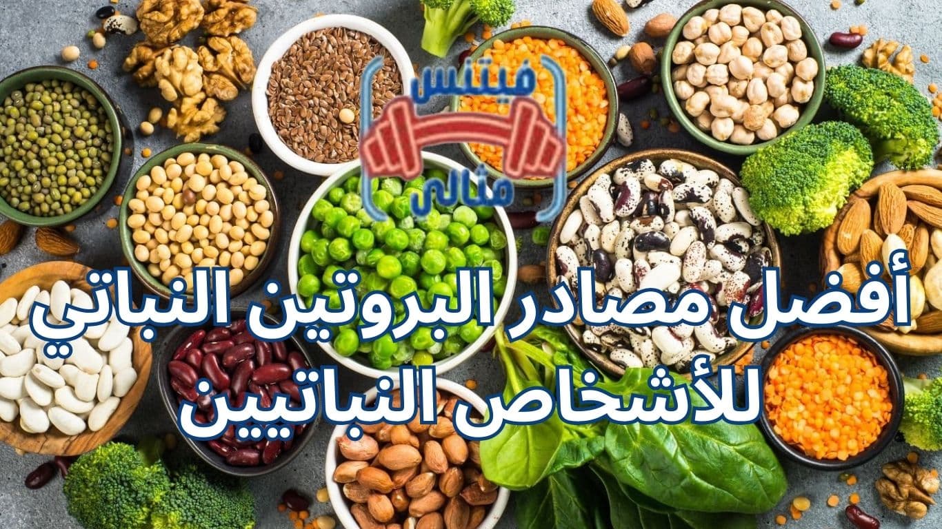 أفضل مصادر البروتين النباتي للأشخاص النباتيين