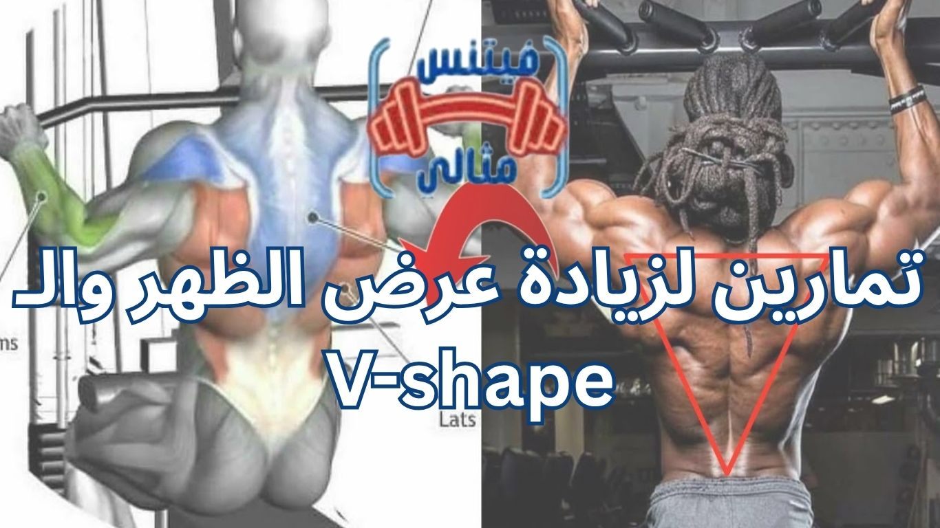 أفضل 5 مكملات غذائية لزيادة الوزن بسعر مناسب 2026 19 1 تمارين لزيادة عرض الظهر والـ V-shape