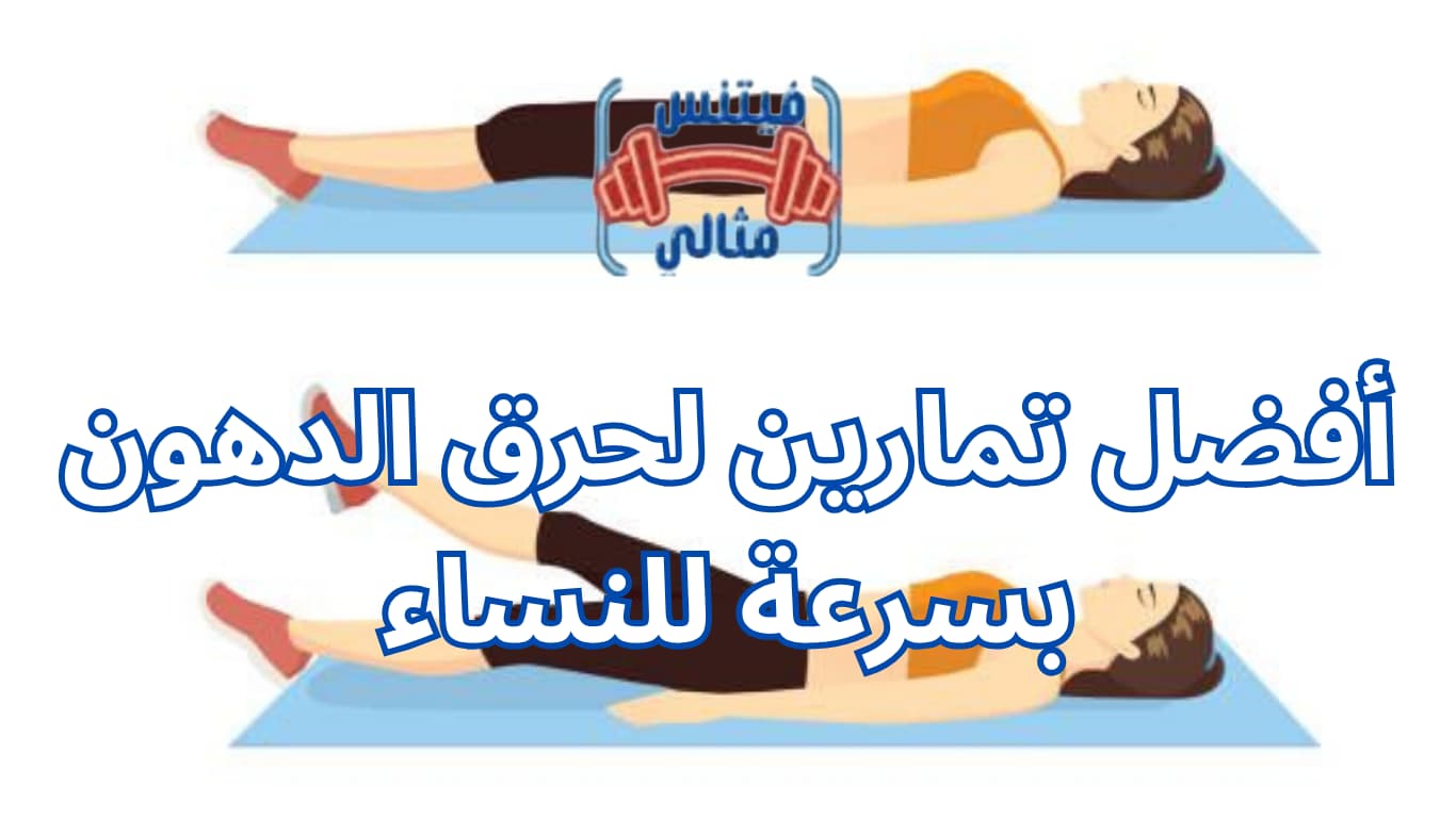 أفضل 5 مكملات غذائية لزيادة الوزن بسعر مناسب 2026 2 2 أفضل 5 مكملات غذائية لزيادة الوزن بسعر مناسب 2026 2 2