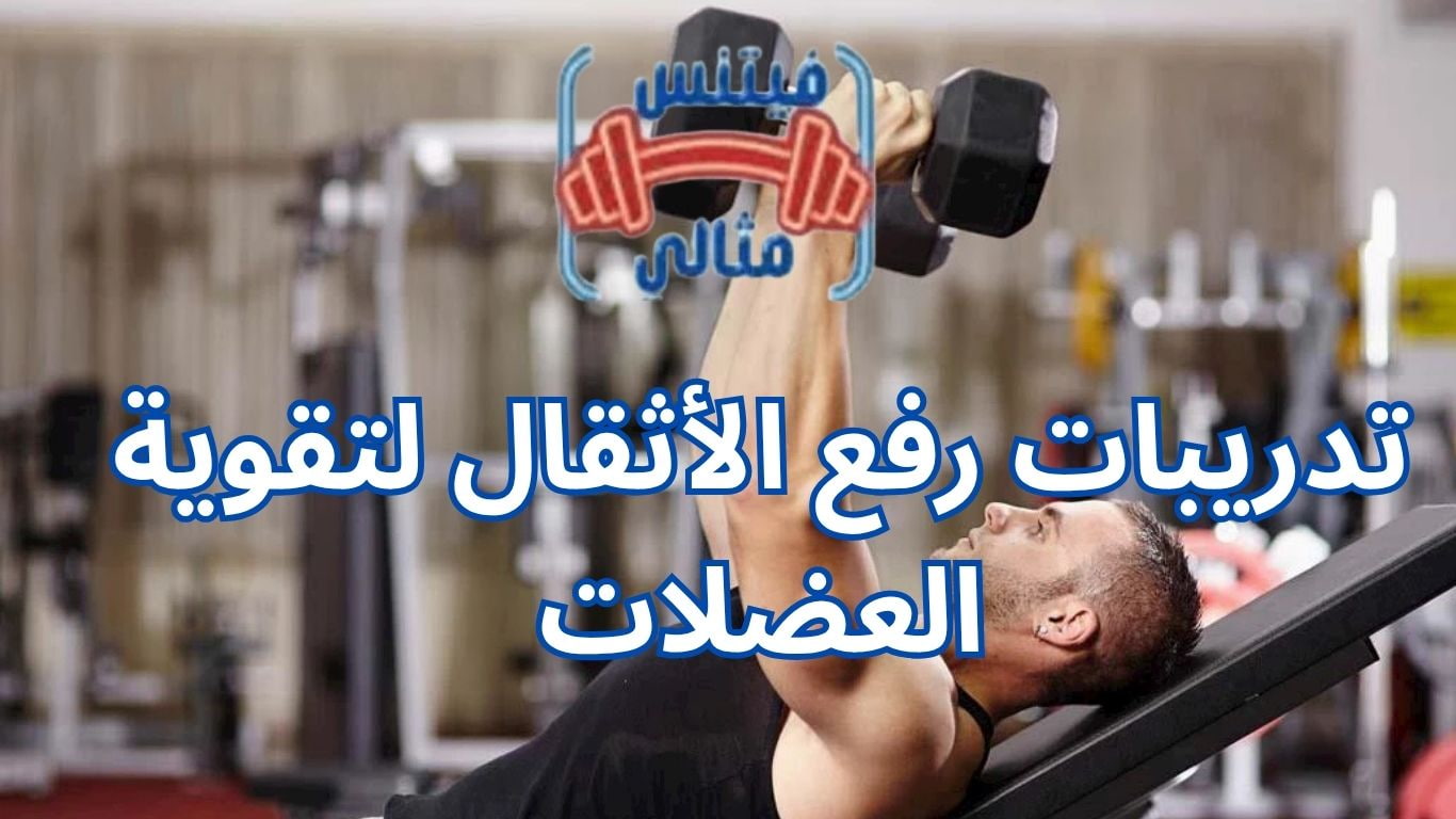أفضل 5 مكملات غذائية لزيادة الوزن بسعر مناسب 2026 2025 10 17T232337.376 1 تدريبات رفع الأثقال لتقوية العضلات