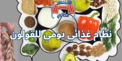 نظام غذائي يومي للقولون