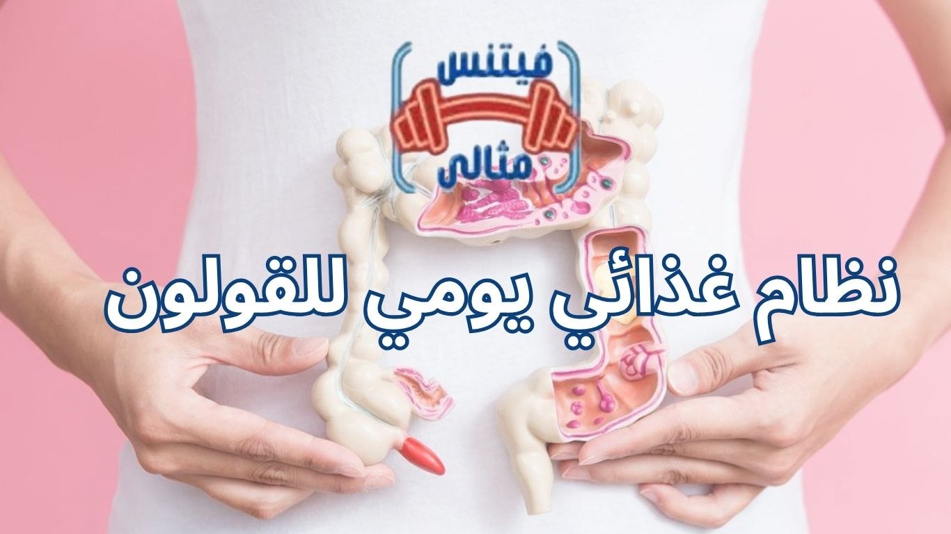 أفضل 5 مكملات غذائية لزيادة الوزن بسعر مناسب 2026 26 1 نظام غذائي يومي للقولون