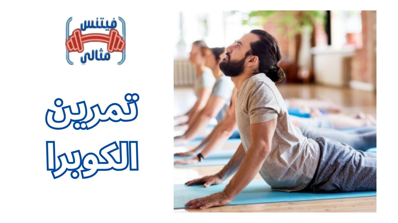 أفضل 5 مكملات غذائية لزيادة الوزن بسعر مناسب 2026 2025 11 19T070837.297 1 تمرين الكوبرا فوائده للرجال و النساء