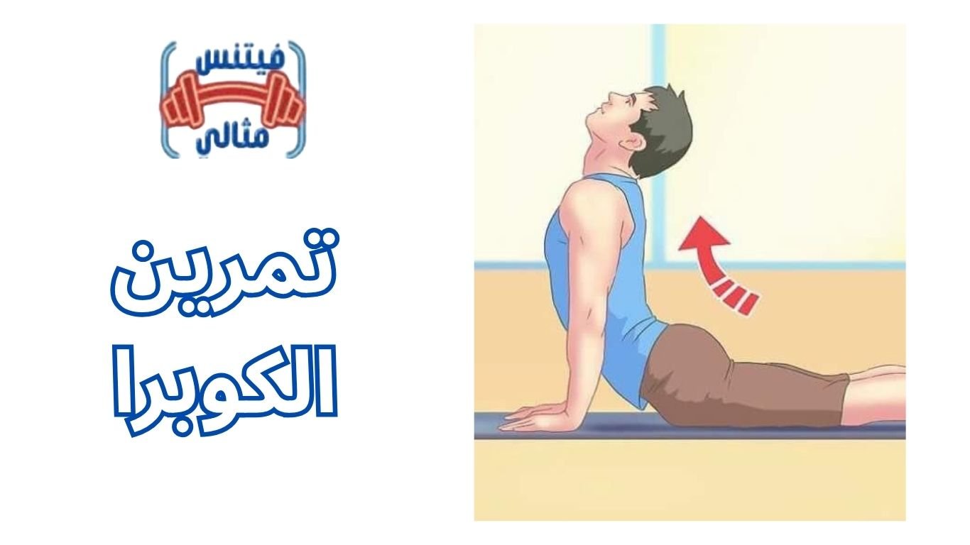 أفضل 5 مكملات غذائية لزيادة الوزن بسعر مناسب 2026 2025 11 19T071008.902 1 تمرين الكوبرا فوائده للرجال و النساء