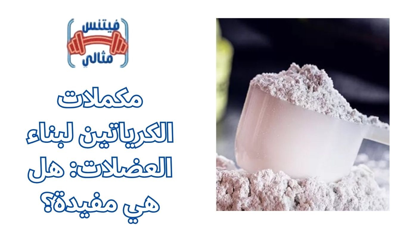 مكملات الكرياتين لبناء العضلات: هل هي مفيدة؟