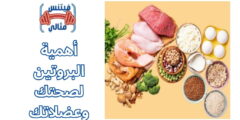 أهمية البروتين لصحتك وعضلاتك