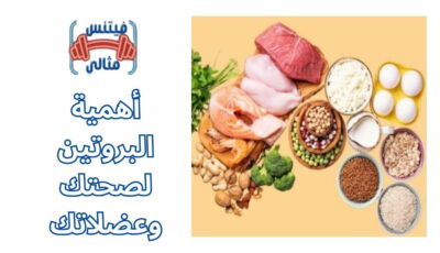 أهمية البروتين لصحتك وعضلاتك