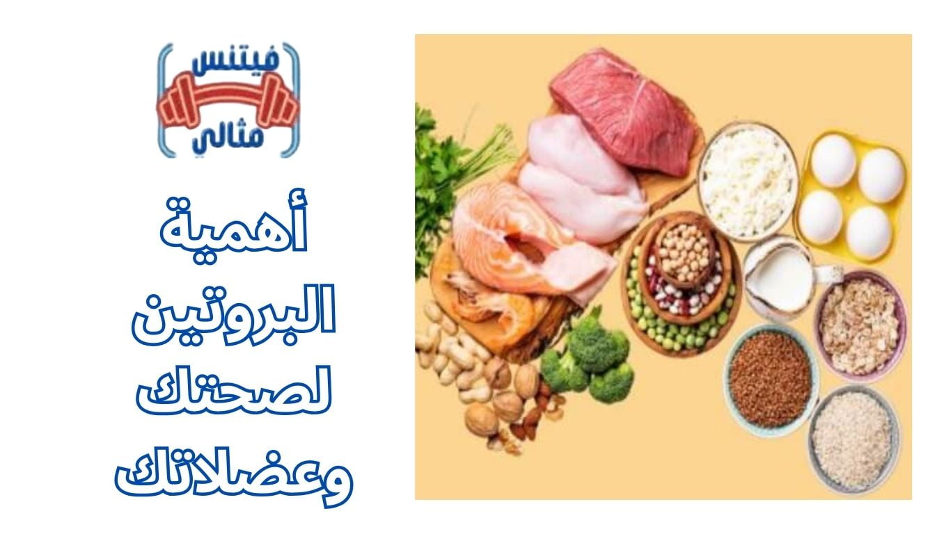 أهمية البروتين لصحتك وعضلاتك