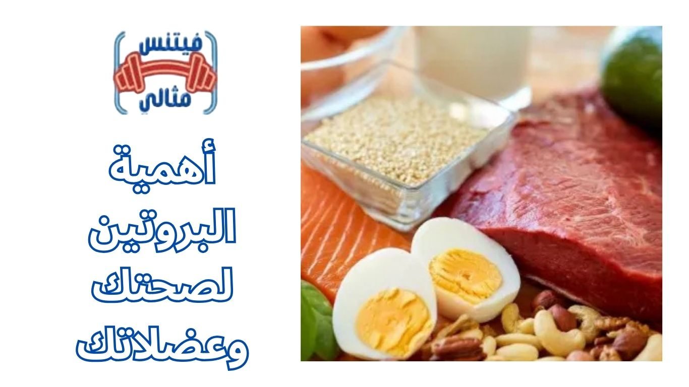 أهمية البروتين لصحتك وعضلاتك