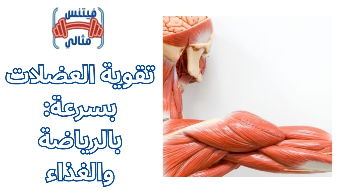 أفضل 5 مكملات غذائية لزيادة الوزن بسعر مناسب 2026 2025 12 11T233446.812 1 تقوية العضلات بسرعة: بالرياضة والغذاء