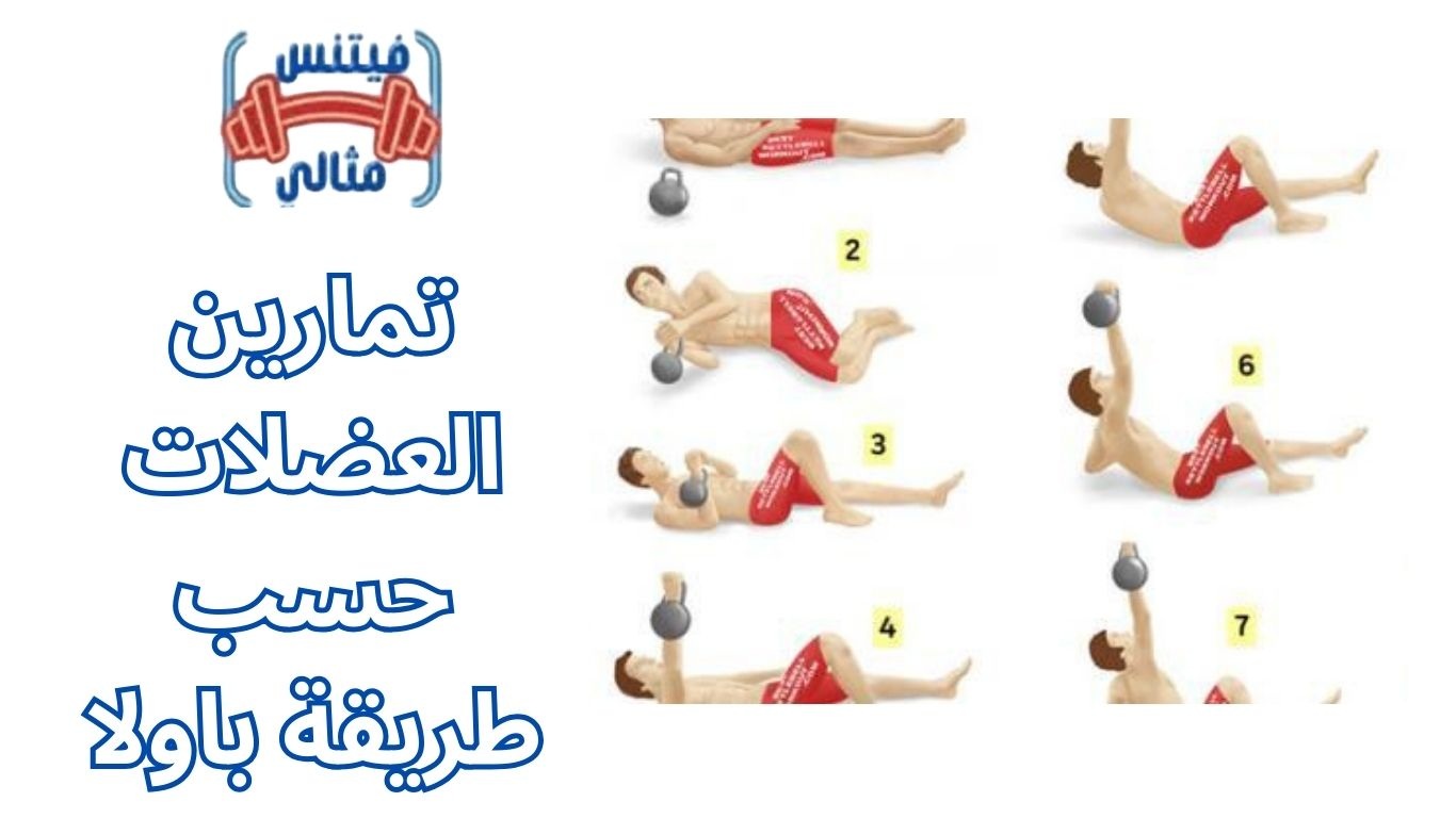 أفضل 5 مكملات غذائية لزيادة الوزن بسعر مناسب 2026 2025 12 15T125648.009 1 تمارين العضلات حسب طريقة باولا