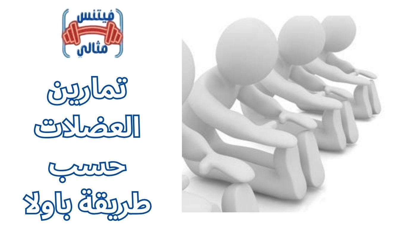 أفضل 5 مكملات غذائية لزيادة الوزن بسعر مناسب 2026 2025 12 15T125926.678 1 تمارين العضلات حسب طريقة باولا