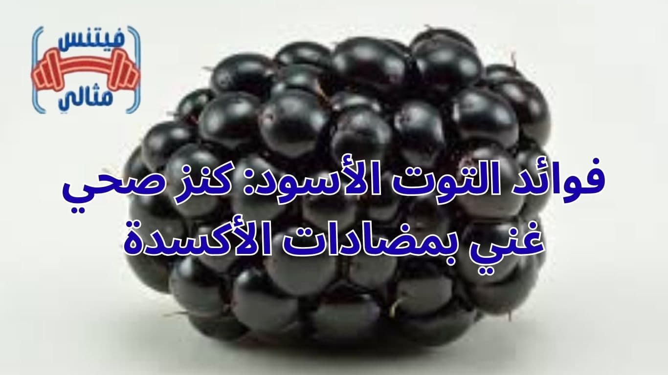 فوائد التوت الأسود: كنز صحي غني بمضادات الأكسدة