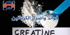 فوائد واضرار الكرياتين