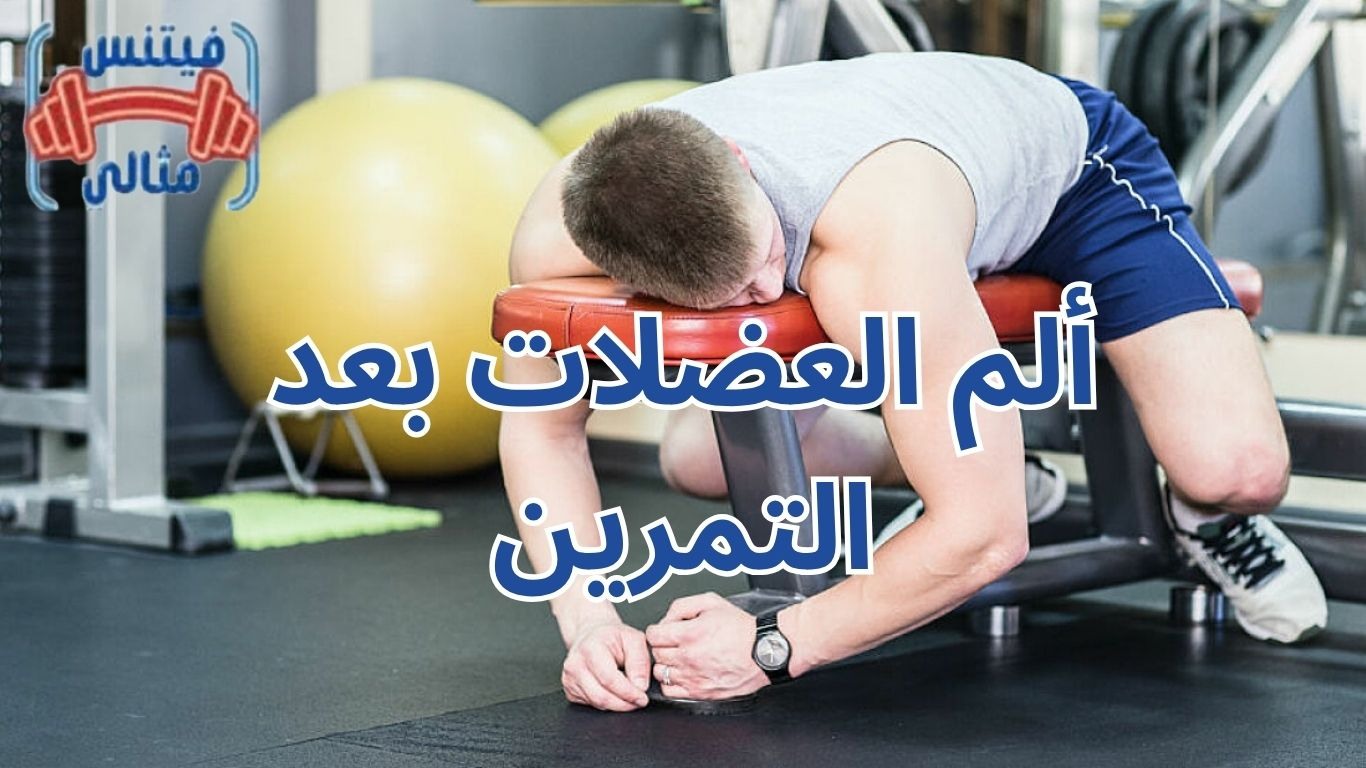 أفضل 5 مكملات غذائية لزيادة الوزن بسعر مناسب 2026 2026 03 30T200222.487 1 ألم العضلات بعد التمرين