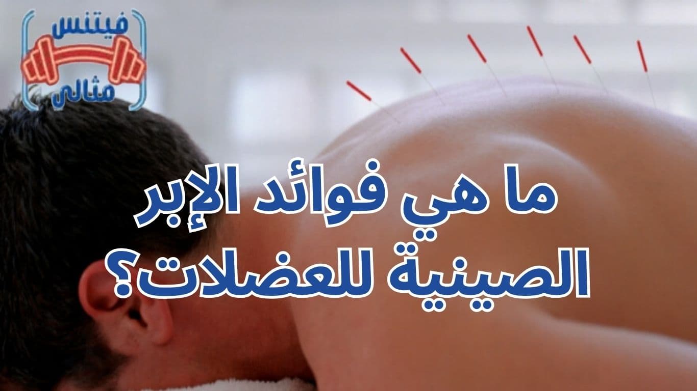 أفضل 5 مكملات غذائية لزيادة الوزن بسعر مناسب 2026 2026 03 31T163455.800 1 ما هي فوائد الإبر الصينية للعضلات؟