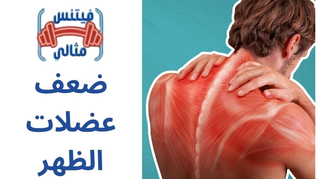 ضعف عضلات الظهر