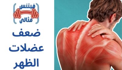 ضعف عضلات الظهر ضعف عضلات الظهر