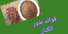 بذور الكتان لها فوائد للصحة العامة والجسم