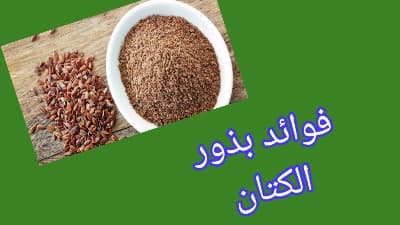 بذور الكتان لها فوائد للصحة العامة والجسم بذور الكتان لها فوائد للصحة العامة والجسم