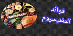 ماذا يحدث للجسم عند تناول المغنيسيوم يومياً؟