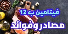 فيتامين ب12 أهم مصادر ووظائف فيتامين ب12