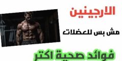 L-Arginine الأرجينين ليس للعضلات فقط، أهم فوائده